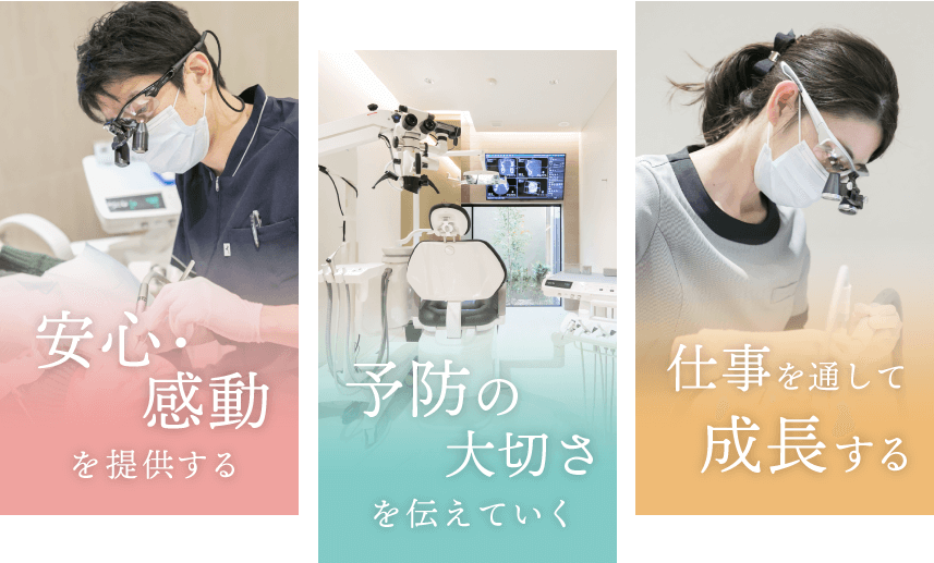 安心・感動を提供する、予防の大切さを伝えていく、仕事を通して成長する