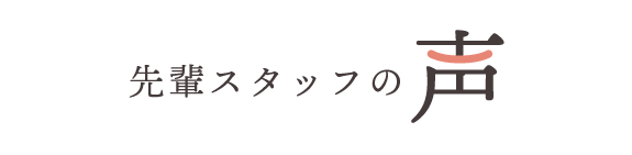 先輩スタッフの声