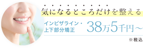 気になるところだけを整える