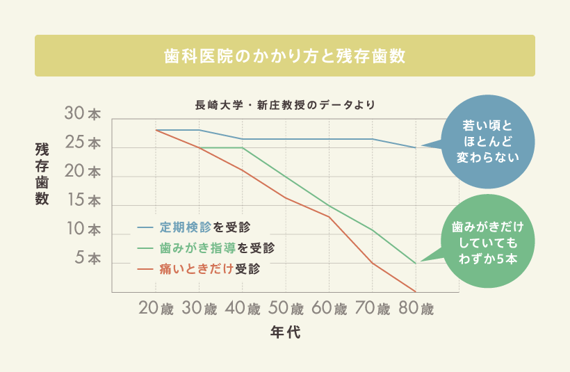 年代別 歯科医院のかかり方と残存歯数